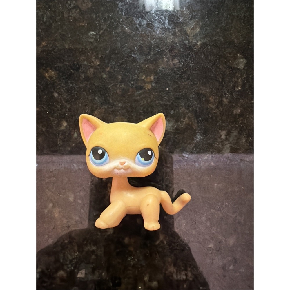 Littlest Pet Shop - LPS - Shorthair Cat Orange Blue Eyes #71 - Hasbro 2004